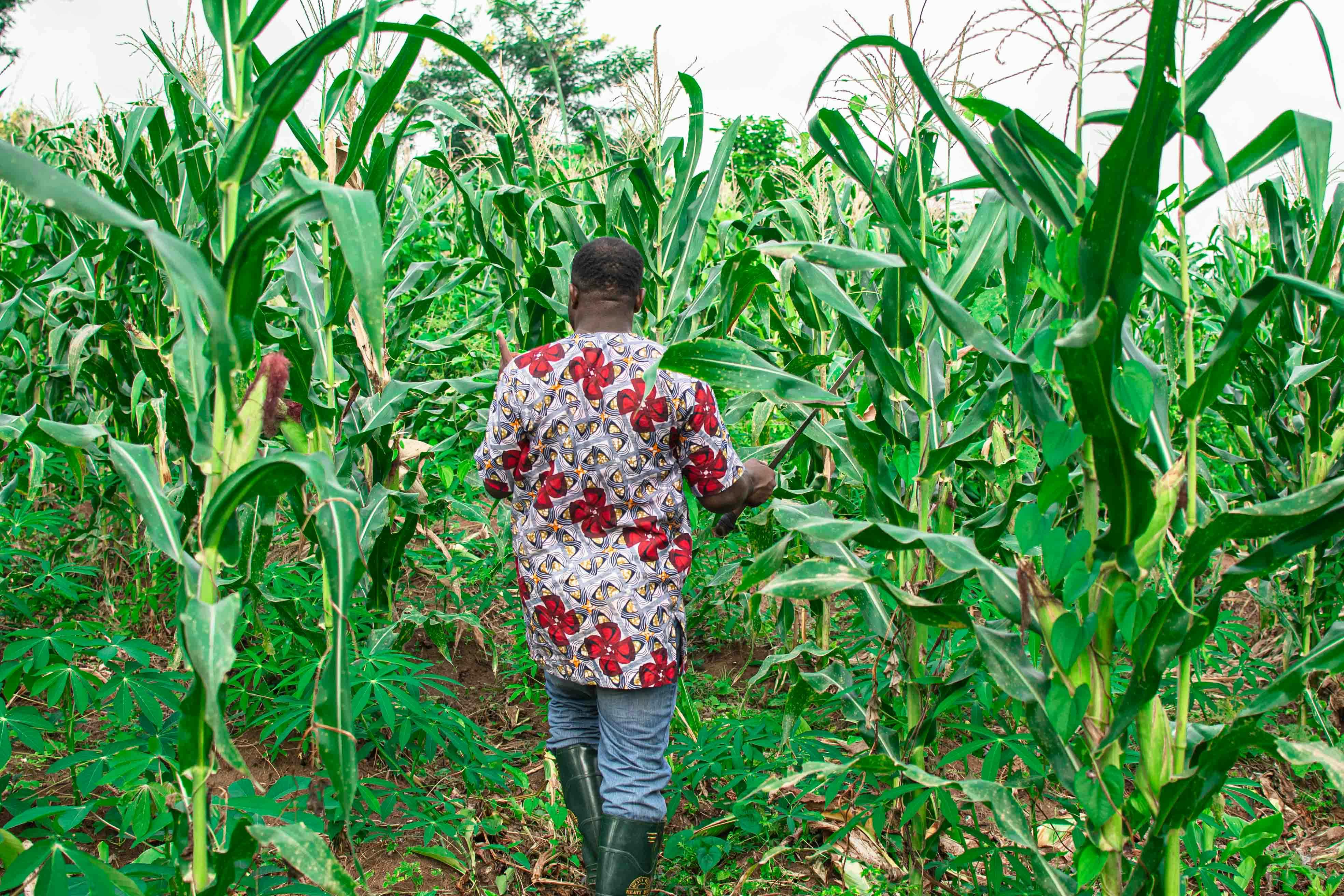 Farming